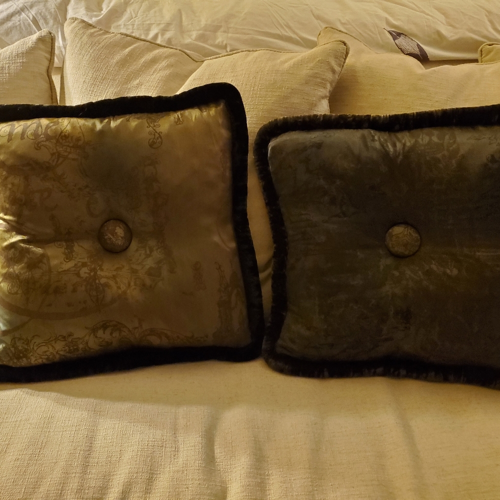 Richard Fischer Luxe Silk/Velvet Down pillows x2